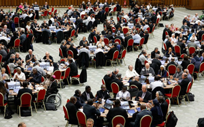 POPE'S STUDY GROUPS REFLECT EVOLVING NATURE OF SYNOD PROCESS