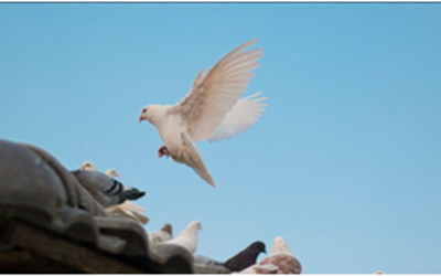 PRO-LIFE? PRO-CHOICE? TRY BEING PRO-GRACE INSTEAD.