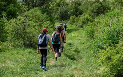 SECOND SUNDAY IN ADVENT