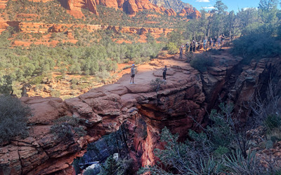 CARING FOR CREATION THIS LENT